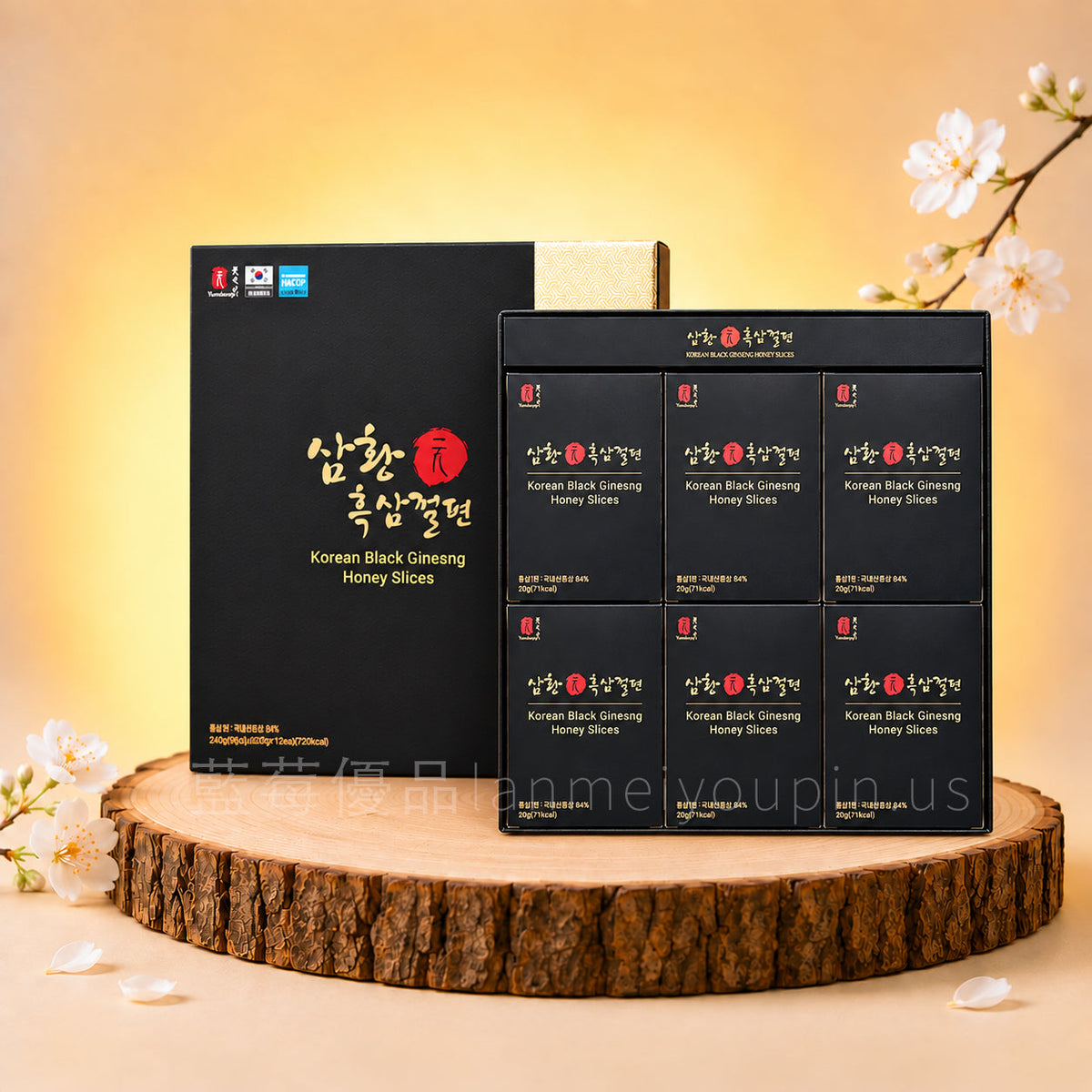 参皇片